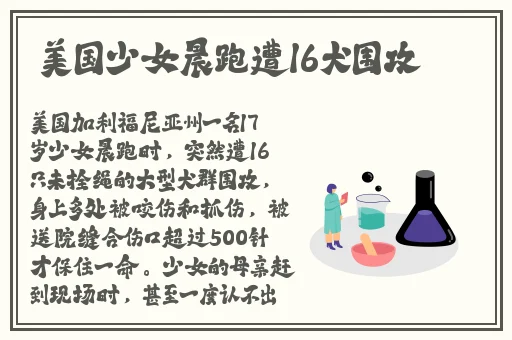 黑土迪达拉拔萝卜