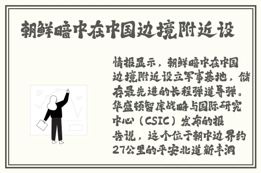 国产 AV 仑乱内谢
